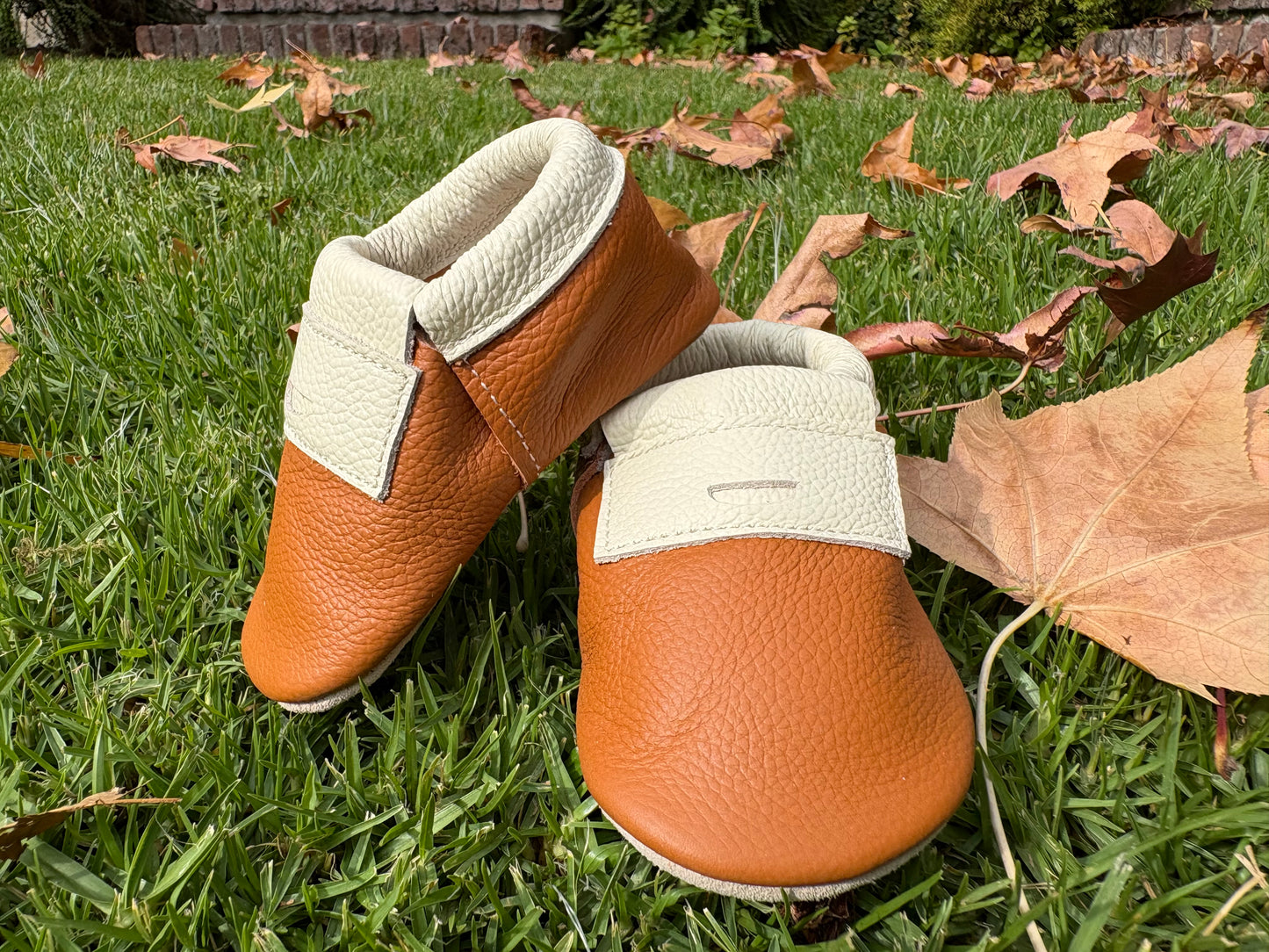 Aura